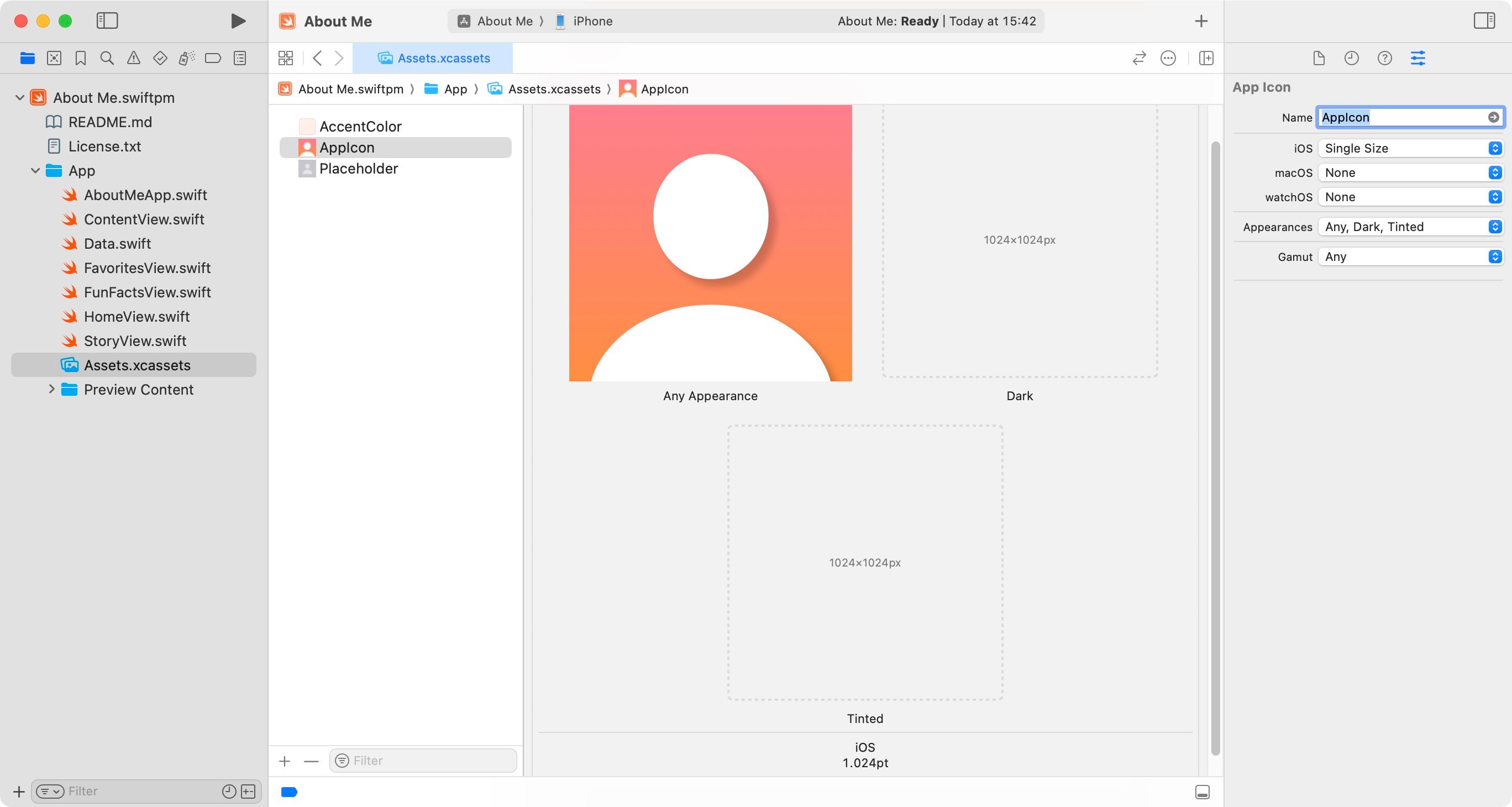 Screenshot des Asset-Katalogs in Xcode