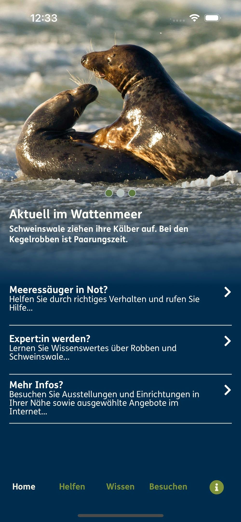 Screenshot der Robben.App